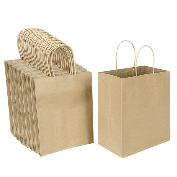 Oikss 100 Pack 8x4.75x10 inch Medium Plain Natural Paper Bags with Handles Bulk, Kraft Bags for Birthday Party Favors Grocery Retail Shopping Business Goody Craft Gift Bags Sacks (Brown 100 PCS Count)