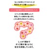 赤ちゃん オリゴ糖 北の快適工房 おこさま用カイテキオリゴ 約1か月分 90g カイテキオリゴ おこさま ベビー オリゴ糖