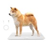 Digital Pet Scale for Dogs and Cats,Dog Scale,Max 220lbs,Rechargeable Version,