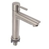 Kitchen Faucet Single Hole Stainless Steel Single Cold Sink Faucet