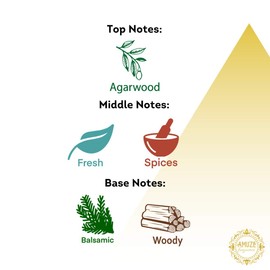 Amuze Fragrance Oud Sahara, 12 ml - METAL | Premium Perfume Oil | Attar Oil | Alcohol-Free | Vegan & Cruelty-Free