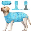 Kuoser Dog Surgery Suit, Dog Surgery Suit Male Neuter, Comfy Doggie Recovery Suit Doggie Onesie, Post-Op Onesie for Female & Male Dogs, Soft Protective Wear, BlueRibbon XXL
