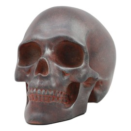 World WAR Rusted Skull Statue Skeleton Figurine 7" Long Human Head