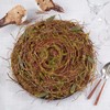 Rustic Charm Twig and Moss Placemat (Set of 4)