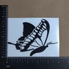 Butterfly Decal 4 Pack: Butterflies, Butterfly Heart, Detailed Butterflies (Black,