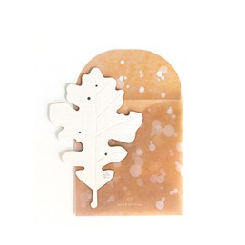 SO EON Leaf Postcard Oak 1ea, Type:Rainbow