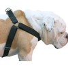 Cotton Web Adjustable Dog Step-in Harness 4 Sizes Black (XLarge: