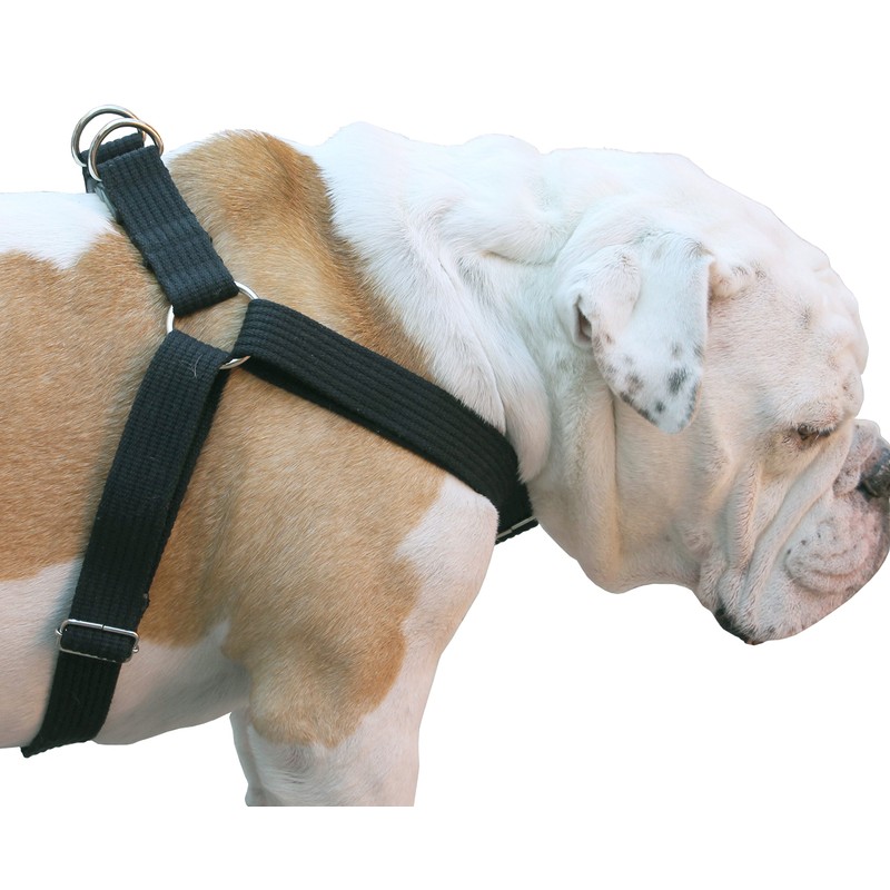 Cotton Web Adjustable Dog Step-in Harness 4 Sizes Black (XLarge: