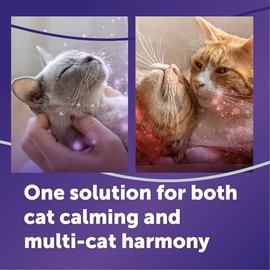 FELIWAY Optimum Cat Difusor de feromonas calmantes Mejorado, Recambio de 30 días, 1 Paquete