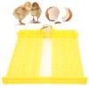 Automatic Egg Turner 48 Eggs ABS Automatic Egg Turner for