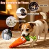 Sagildoq 2 Pack No Stuffing Dog Toys with Squeaker, Crinkle