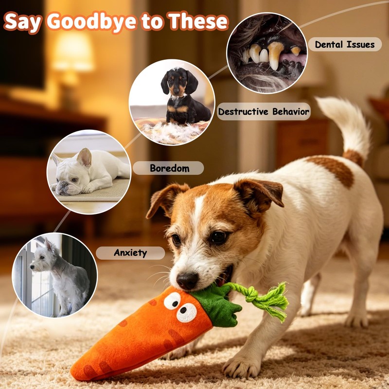 Sagildoq 2 Pack No Stuffing Dog Toys with Squeaker, Crinkle