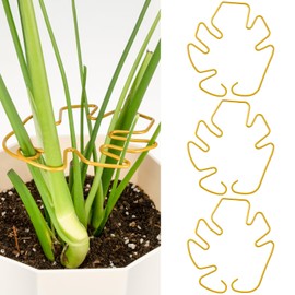 Yncotte Monstera Plant Support 3 Pack, Plant Supports for Indoor Plants, Metal Plant Stem Holder Large Plant Support Ring Unique Design for Climbing Plants Stem Stabilizer Growth Accessories (Gold)
