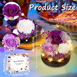 Hossom Ewige Rose im Glas mit Licht - 100% Echte Rose & Symbol Ewiger Liebe - Ideal Geschenk für Frauen als Muttertagsgeschenk, Geburtstagsgeschenk Oma, Jahrestag Geschenk für Freundin und Ehefrau