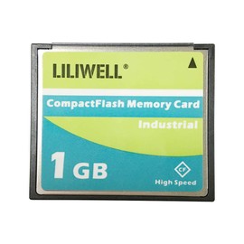 LILIWELL Original TS1GCF133 1GB 133x Type I Compact Flash Memory Card