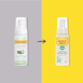 Burt Bees Skin Nourishment Gentle Foaming Cleanser For Normal Combination Ounces