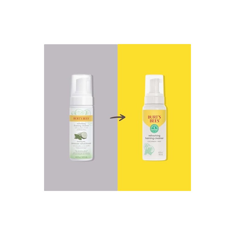 Burt Bees Skin Nourishment Gentle Foaming Cleanser For Normal Combination