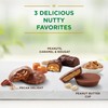 RUSSELL STOVER Sugar Free Assorted Chocolate Candy with Nuts, 15.5