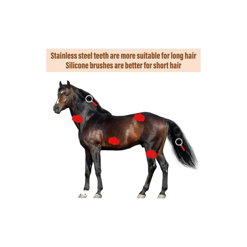 Almohaza Caballo Cepillo Multiusos Herramienta 2 Pzas