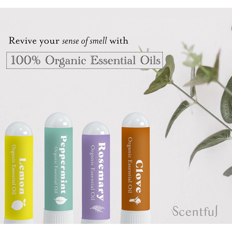 Scentful Smell Training Kit, Smell Retraining Therapy, Restore Sense of