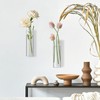 2 Pack Glass Wall Planter Hanging Vases 1.84x5.93 Inch Modern