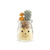 Kishima Deodorizing Goods General Green φ2.2 x H4.1 inches (5.5