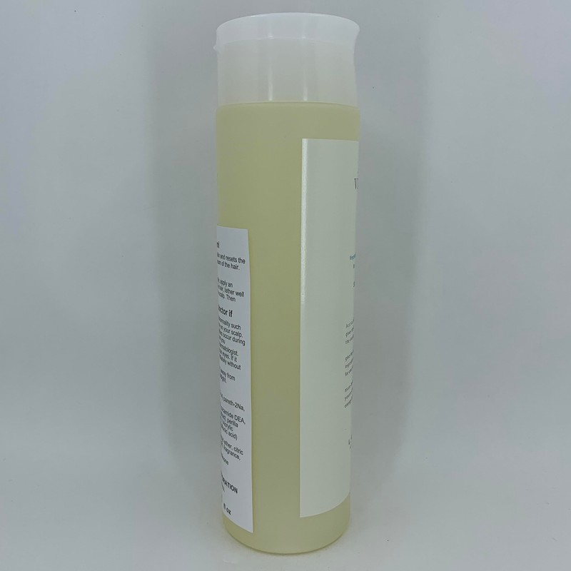 Lebel Viege Hair Shampoo - 240 ml (Green Tea Set)