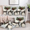Naqiuli Merry Bright Throw Pillow Cover Case Christmas Throw Pillows