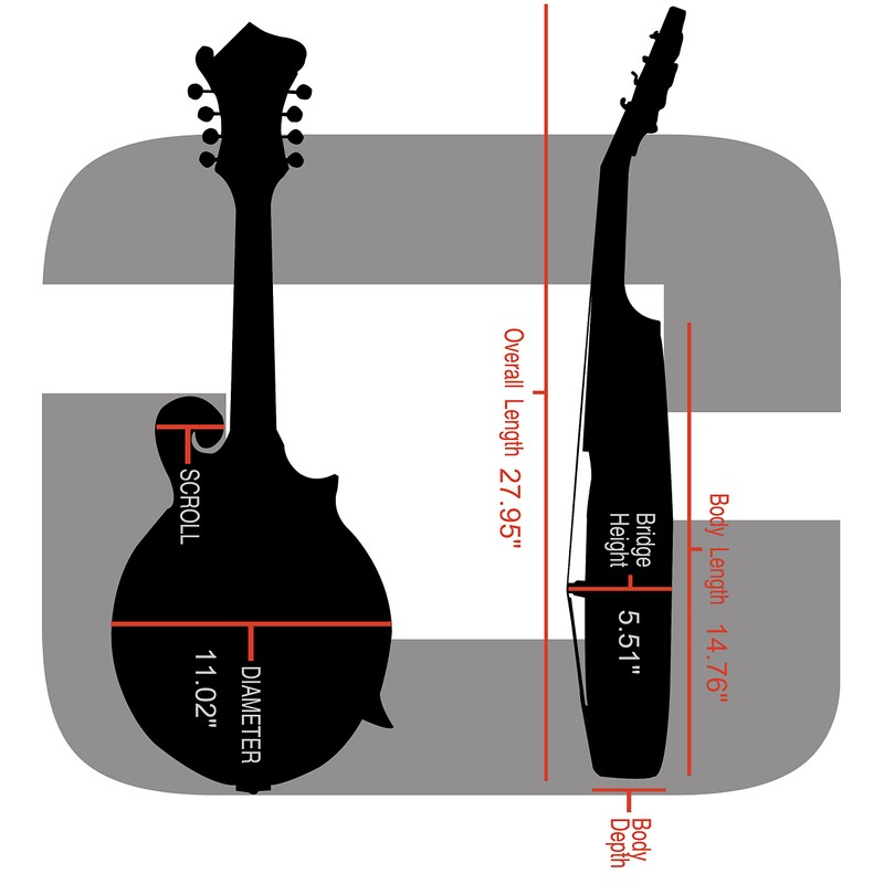 Crossrock ABS Molded Case for F-Style Mandolin | Blue Textured