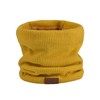 NovForth Winter Neck Warmer Men Ski, Neck Gaiter Face Scarf