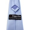 TigerTie Designer Security Safety Tie Plain Pre-tied with Elastic Band,