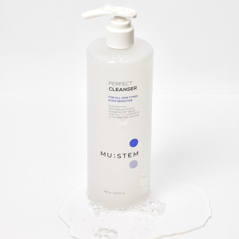 Mustem Perfect Gel Cleanser 480g / 뮤스템 퍼펙트 젤 클렌저