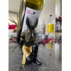 Jextech Adorno Anubis Dios Del Inframundo Soporte Decoración Cantina