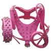 Pimaodog Leather Spiked Studded Harnesses, Collars & Leashes 3Pcs Matching