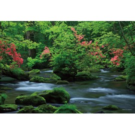 108 Piece Jigsaw Puzzle Cool Oirase Stream (Aomori) Large Piece (26 x 38 cm)