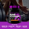 Scitec Nutrition Ami-NO Xpress Orange Mango 440 g