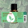 Rocky Mountain Oils Peppermint Essential Oil - Natural Aromatherapy Essential