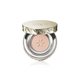 Decorte Decorté AQ Eyeshadow - 13 / 데코르테 AQ 아이섀도우 - 13
