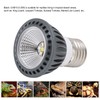 Turtle Basking Light Bulb UVA UVB Concave and Convex Mirror
