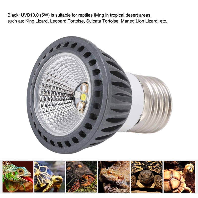 Turtle Basking Light Bulb UVA UVB Concave and Convex Mirror