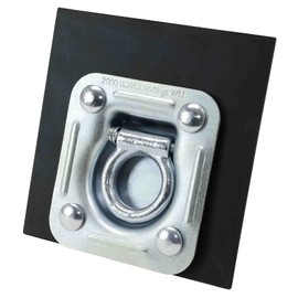 Mytee Products 12 Pack - Recessed Plate D-Ring, 6000 lbs Capacity, Tie-Down for Flatbed, Enclosed Trailers, Pickup Trucks