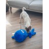 Zoon Large Octo Poochie Octopus Squeaky Plush Dog Toy
