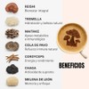 Mushrooms Coffee 7 en 1 Caf Soluble con 7 Hongos