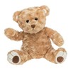 Record Your Own Plush 16 Inch Plush Brown Bear -