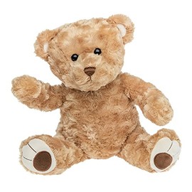 Record Your Own Plush 16 Inch Plush Brown Bear - Ready To Love in a Few Easy Steps