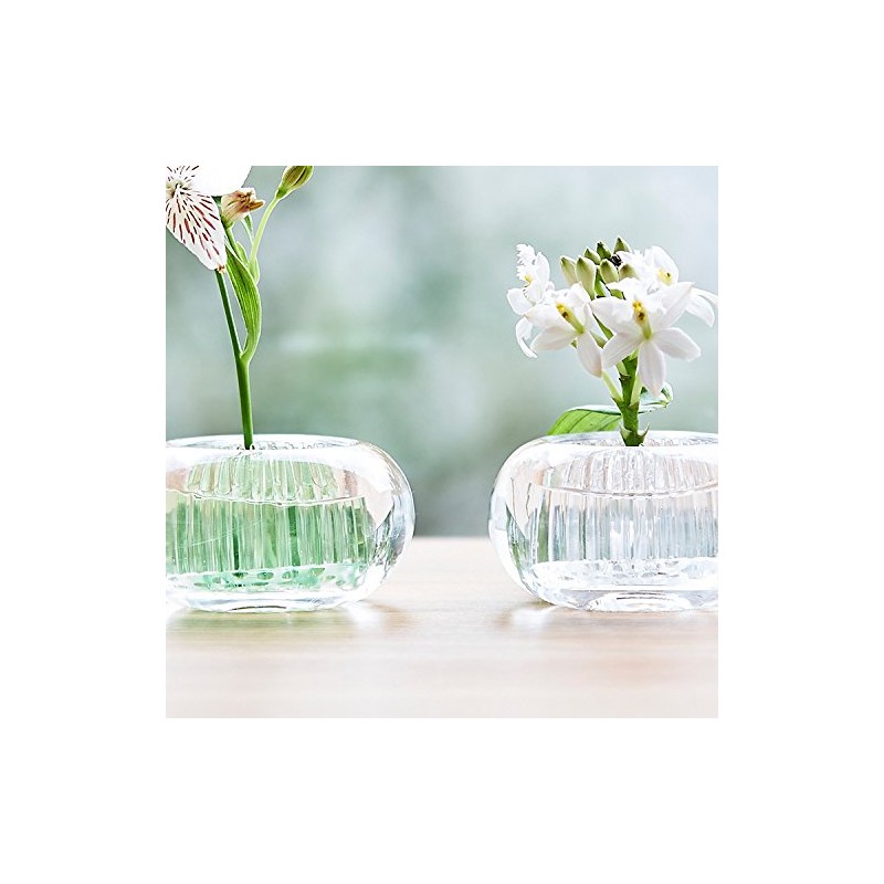 Ash Concept (H concept) +d Flower Base, Michikusa D-371-CG