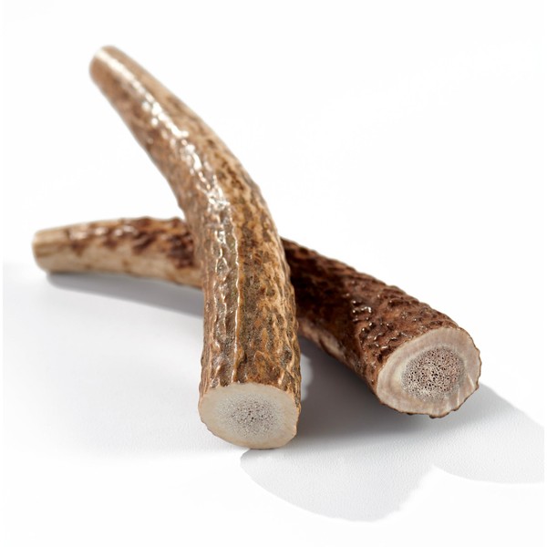 Buck Bone Organics Dog Chews, Elk Antlers for Dogs, Long