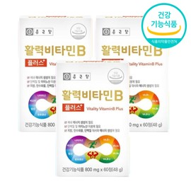 Chong Kun Dang Active Vitamin B3 Vitamin B Complex Becom 6 Months / 종근당 활성 비타민B3 비타민b복합체 비콤 6개월