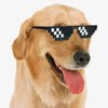 [Lorigun] Thug Life Sunglasses Pixel Mosaic Glasses Party Glasses MLG