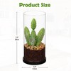 GnFlus Artificial Succulent in Cylindrical Glass Vase Small Fake Cactus
